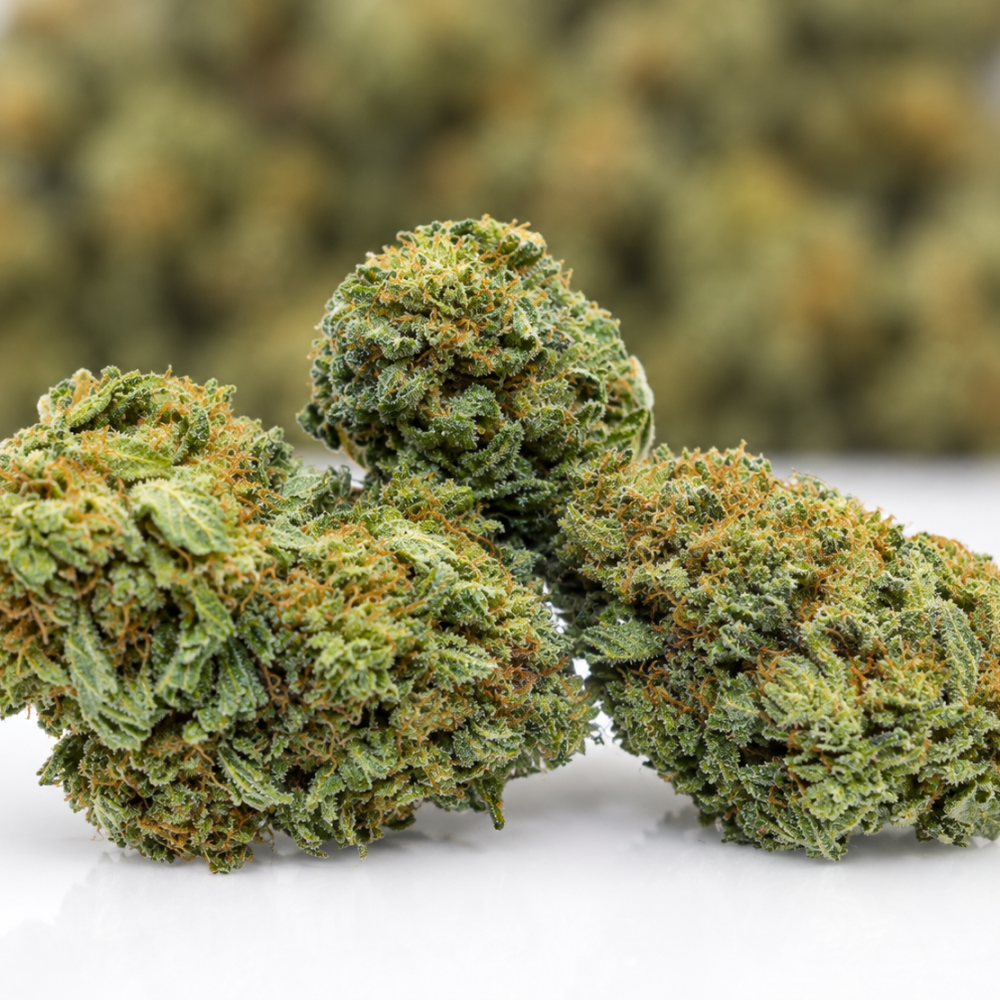 (BULK) Purple Runtz- AAA