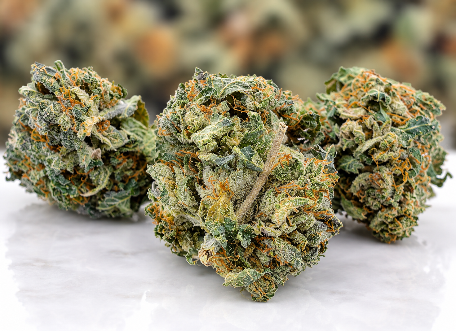Sour Mango AAA