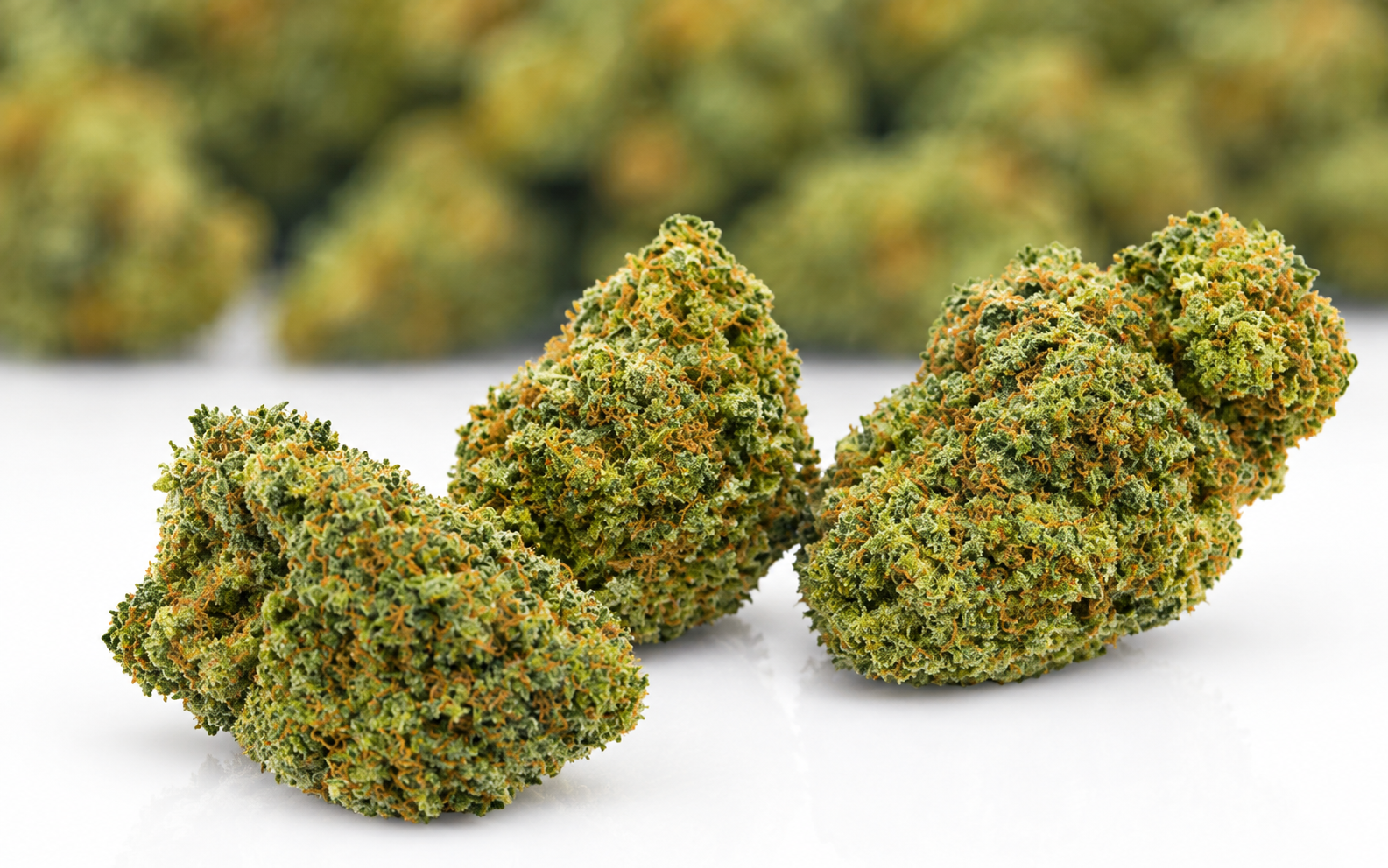 *NEW STRAIN!* Hash Plant- AAAA- ($5.71/ gram)