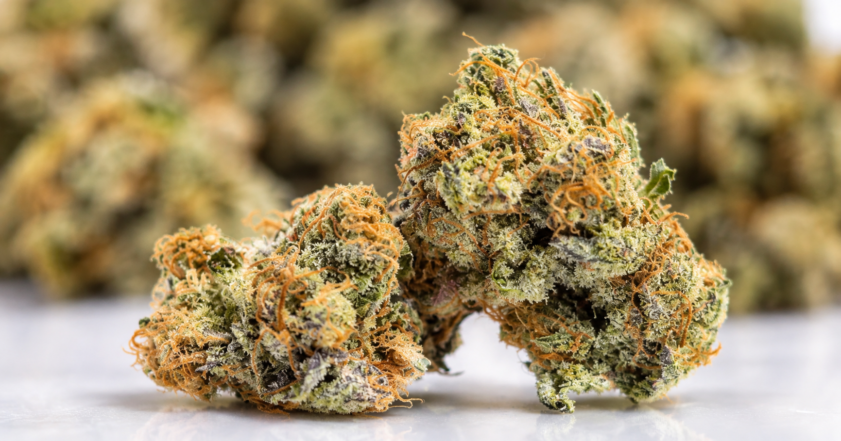 God’s Breath- AAAA+/Craft- ($9.64/ gram)