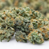 28g Popcorn- AA/AAA
