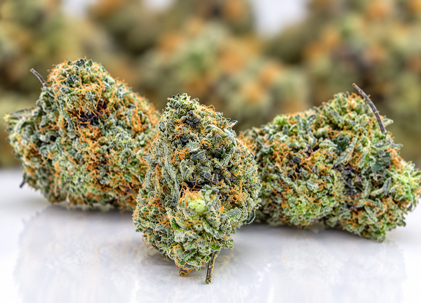 Nuclear Cookies AA - Hybrid Strains