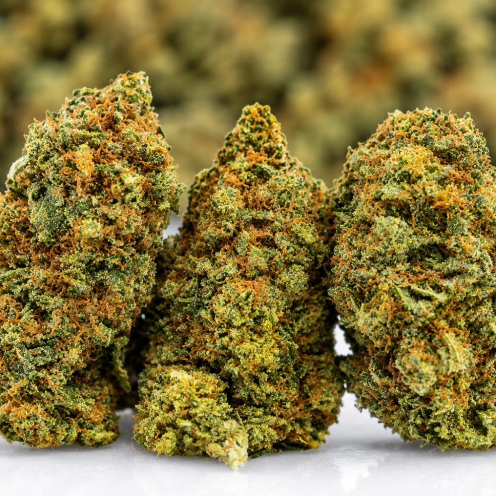 Couch Lock- AAA- ($3.57/ gram)