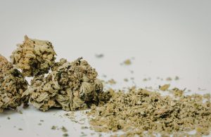 Bubba Kush Strain Info Guide Aroma, Genetics, and Flower Traits