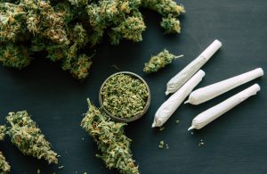 Cannabis Bud Structure Guide: Popcorn, Shake, Smalls, and Premium Flower