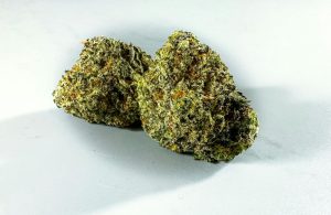 God’s Green Crack Strain Info Classification and Aroma Profile