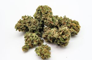 Pink Gas Strain Review Classification, Aroma, and Appearance