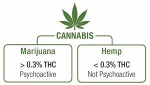 Safe THC Percentage
