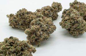 What Is Fire OG Strain Lineage and Structural Traits Overview