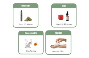 Cannabis Consumption Methods Comparison How Formats Differ