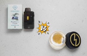 Distillate vs Live Vapes What Adults Should Know