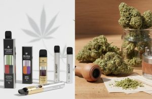 Vapes vs Flower: Key Differences Explained