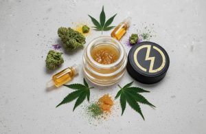 _What Does Full Spectrum Cannabis Means in Vape Products