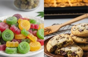 Gummy Edibles vs Cookies: What Are the Differences