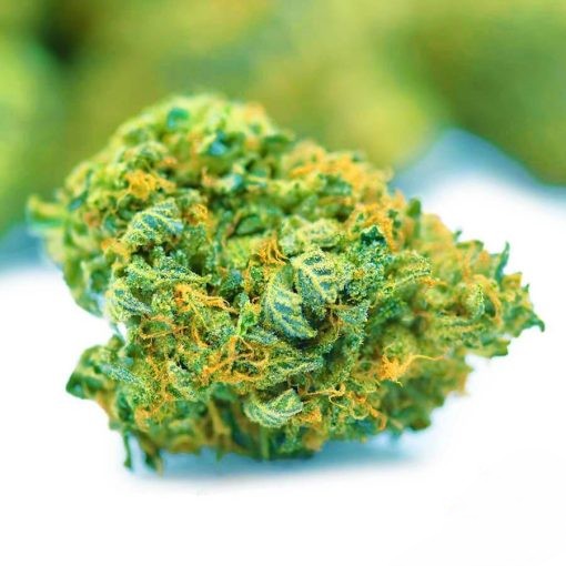 (BULK) Rockstar Master Kush - AAAA