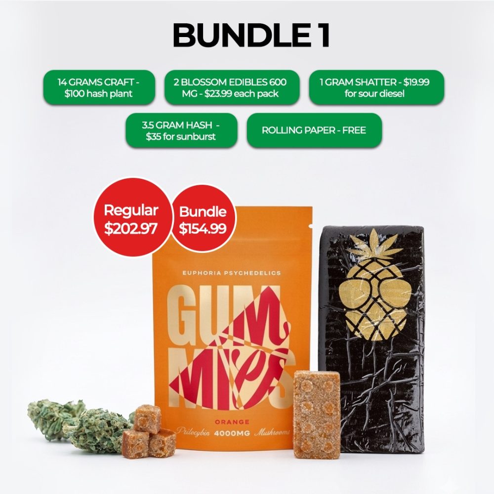 BUNDLE 1