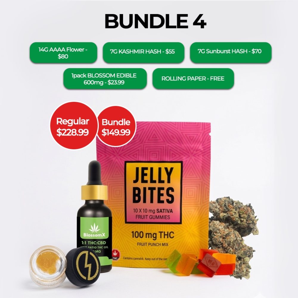 BUNDLE 4