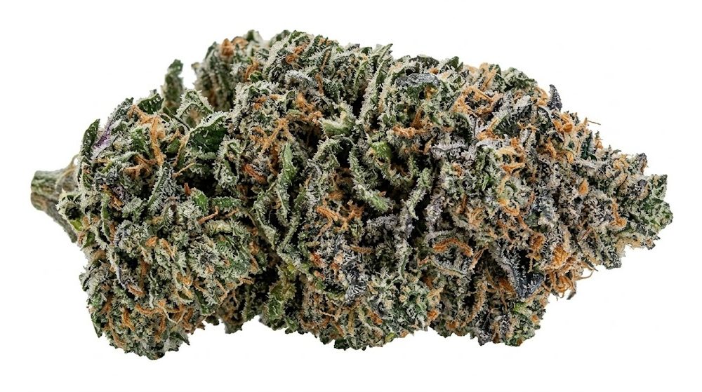 (BULK) Cali Bubba - AAAA